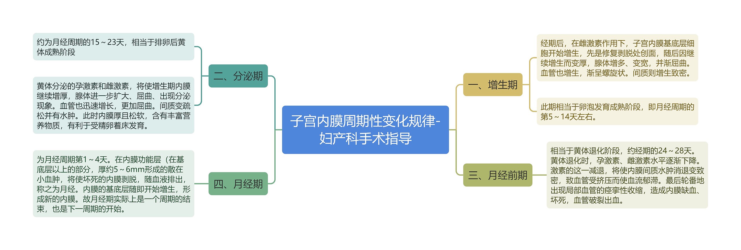 子宫内膜周期性变化规律-妇产科手术指导思维导图