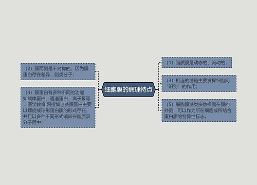 细胞膜的病理特点