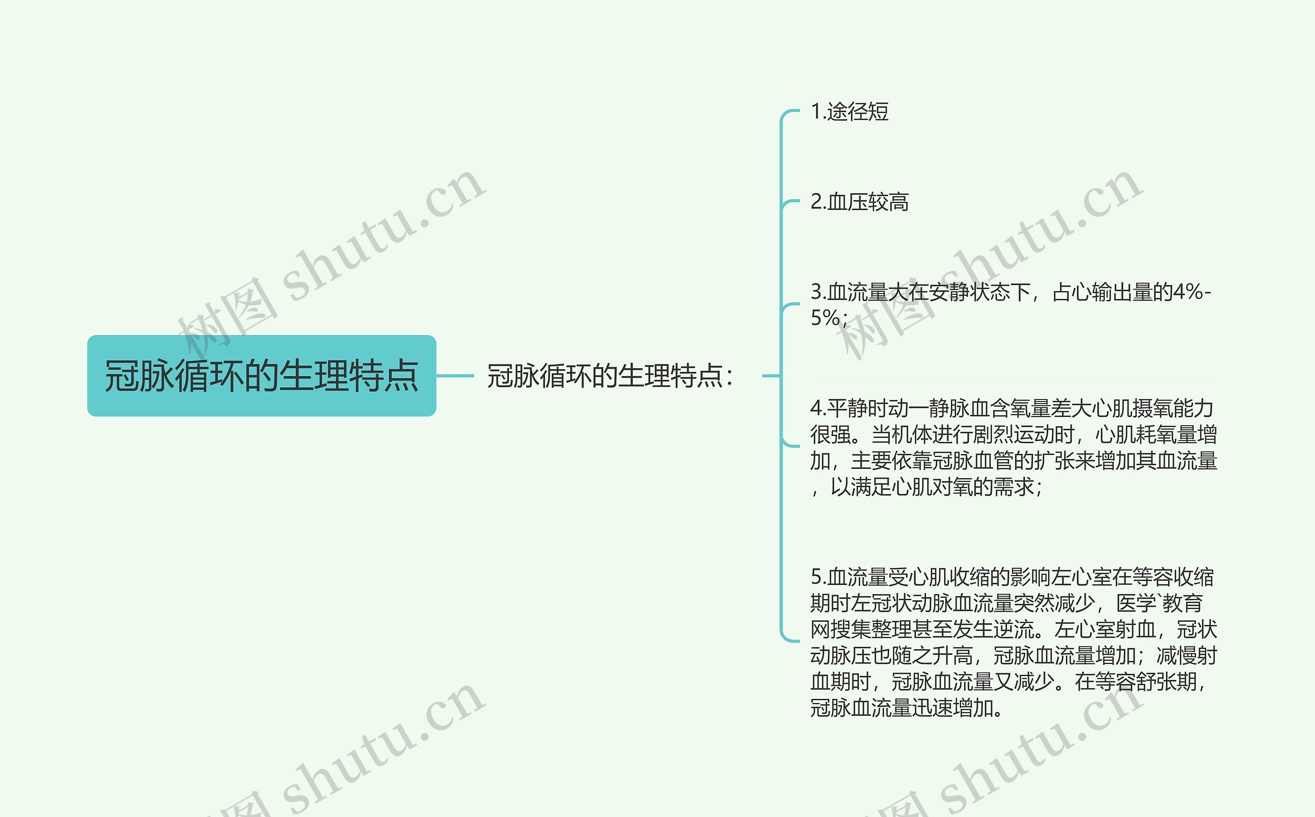 冠脉循环的生理特点思维导图