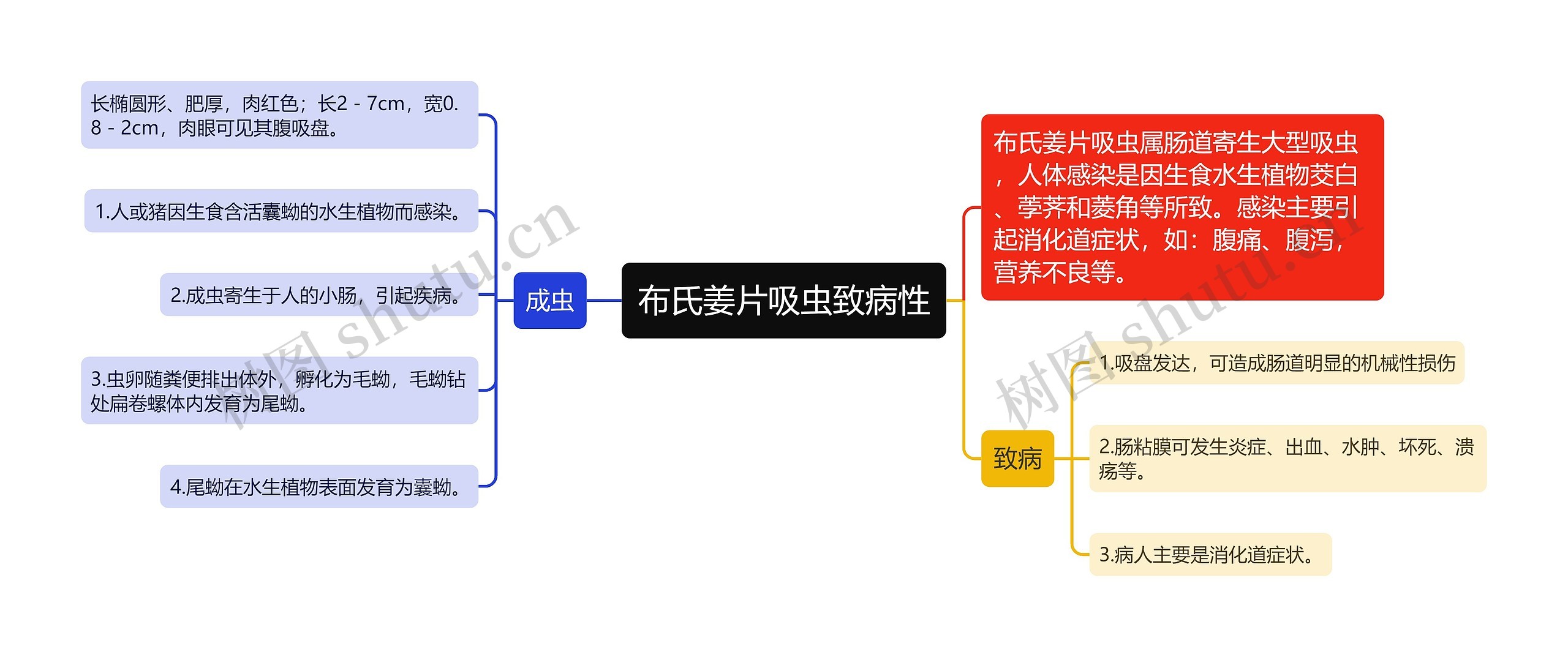 布氏姜片吸虫致病性思维导图