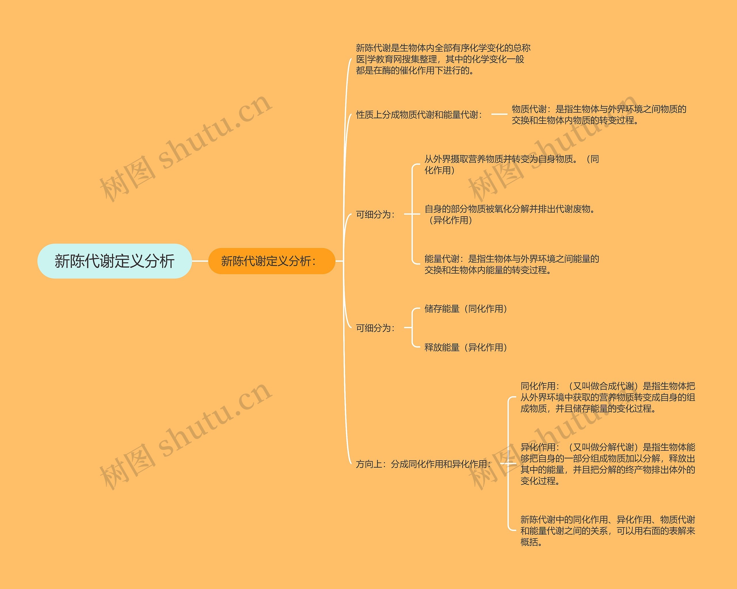 新陈代谢定义分析 新陈代谢定义分析