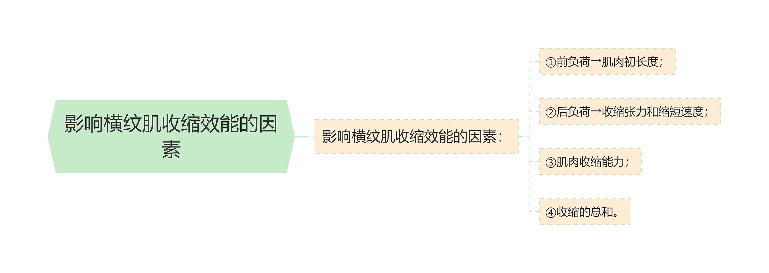 影响横纹肌收缩效能的因素思维导图