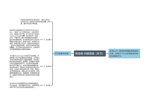 骨连接-间接连接（关节）