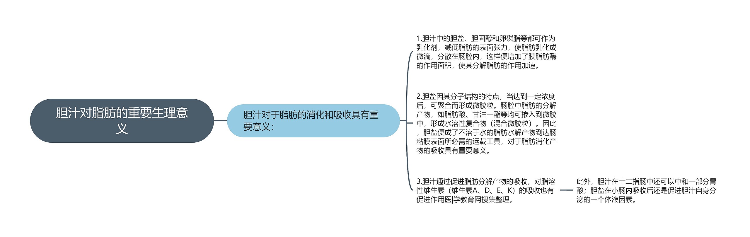 胆汁对脂肪的重要生理意义思维导图