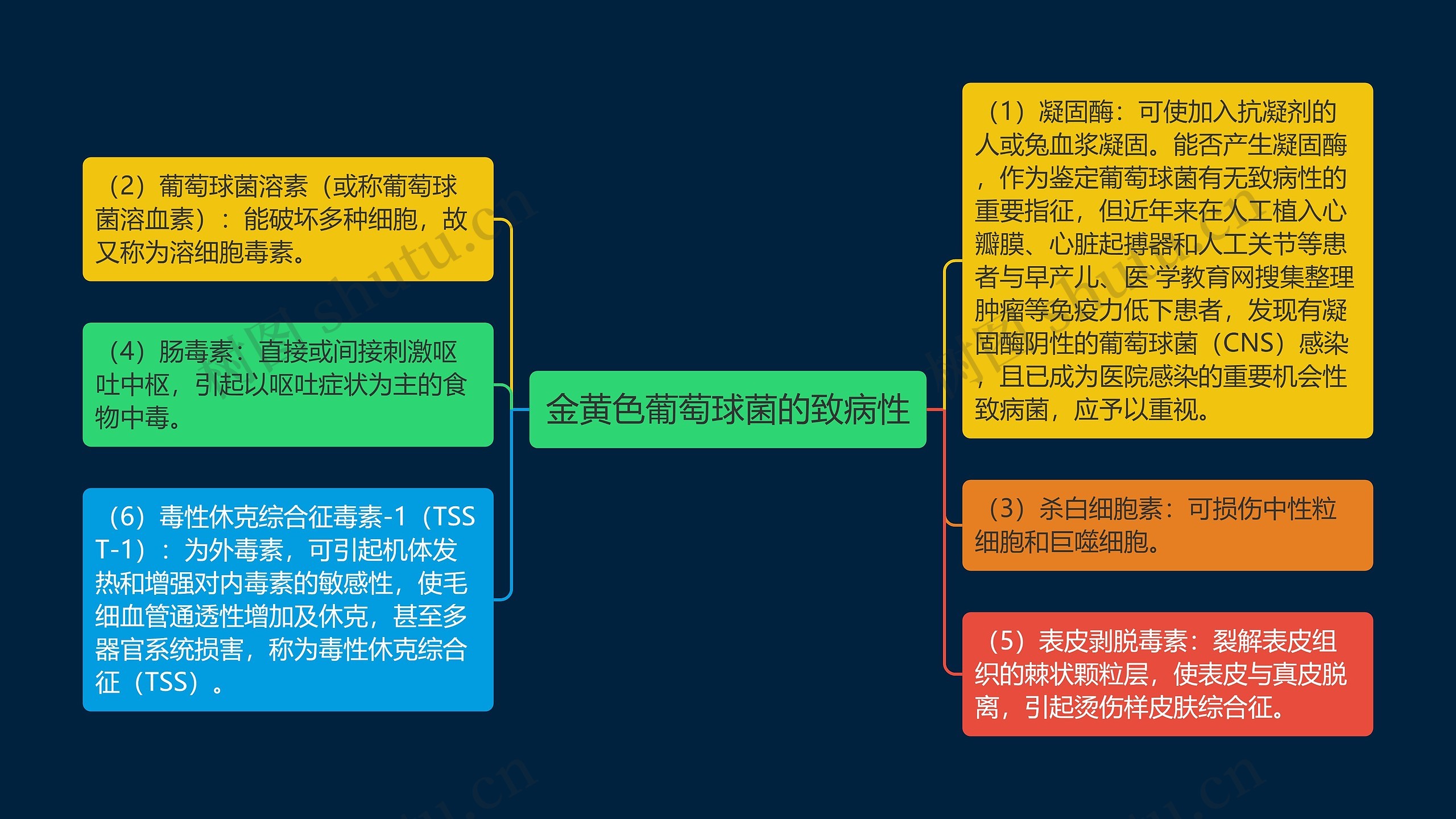 金黄色葡萄球菌的致病性思维导图