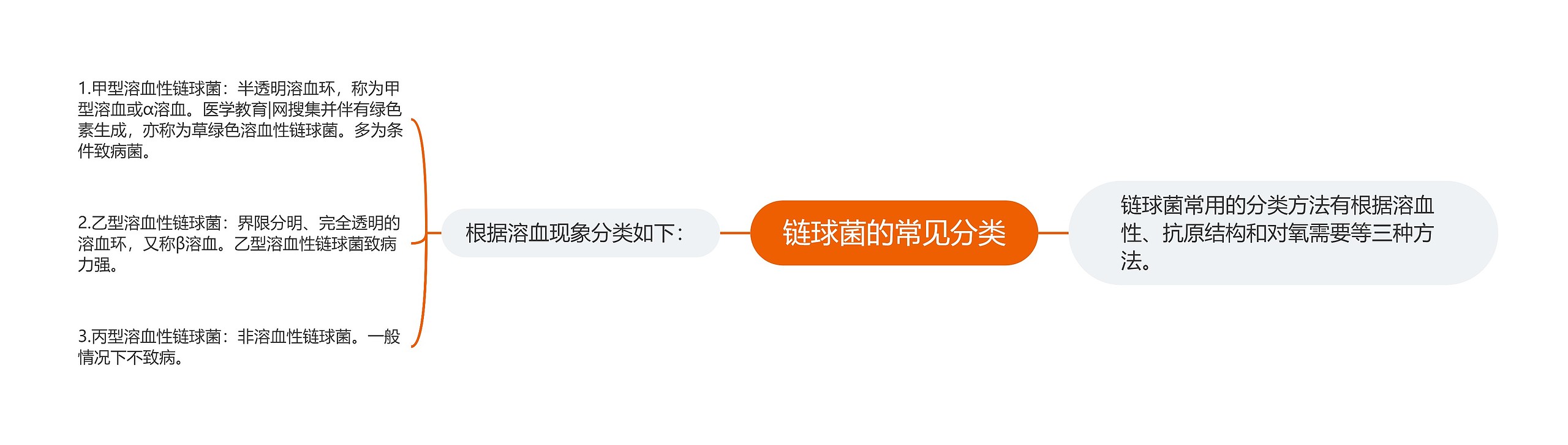 链球菌的常见分类