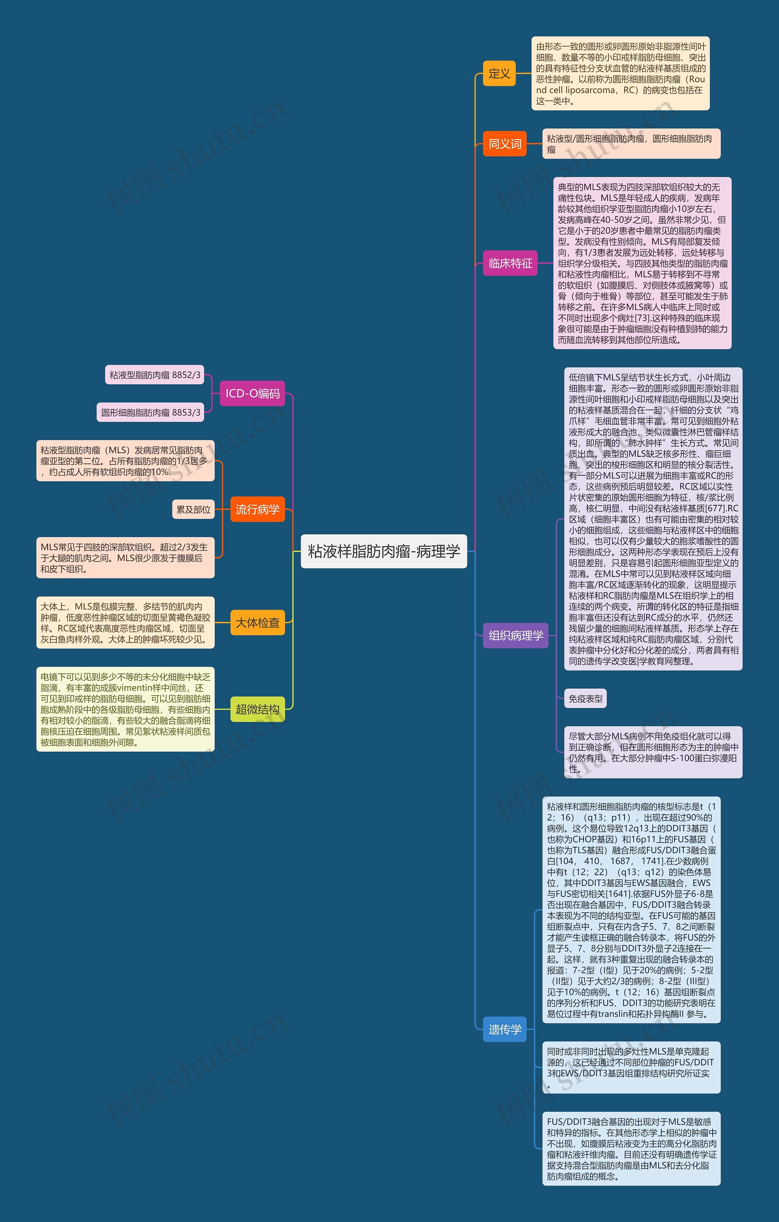 粘液样脂肪肉瘤-病理学 粘液样脂肪肉瘤-病理学
