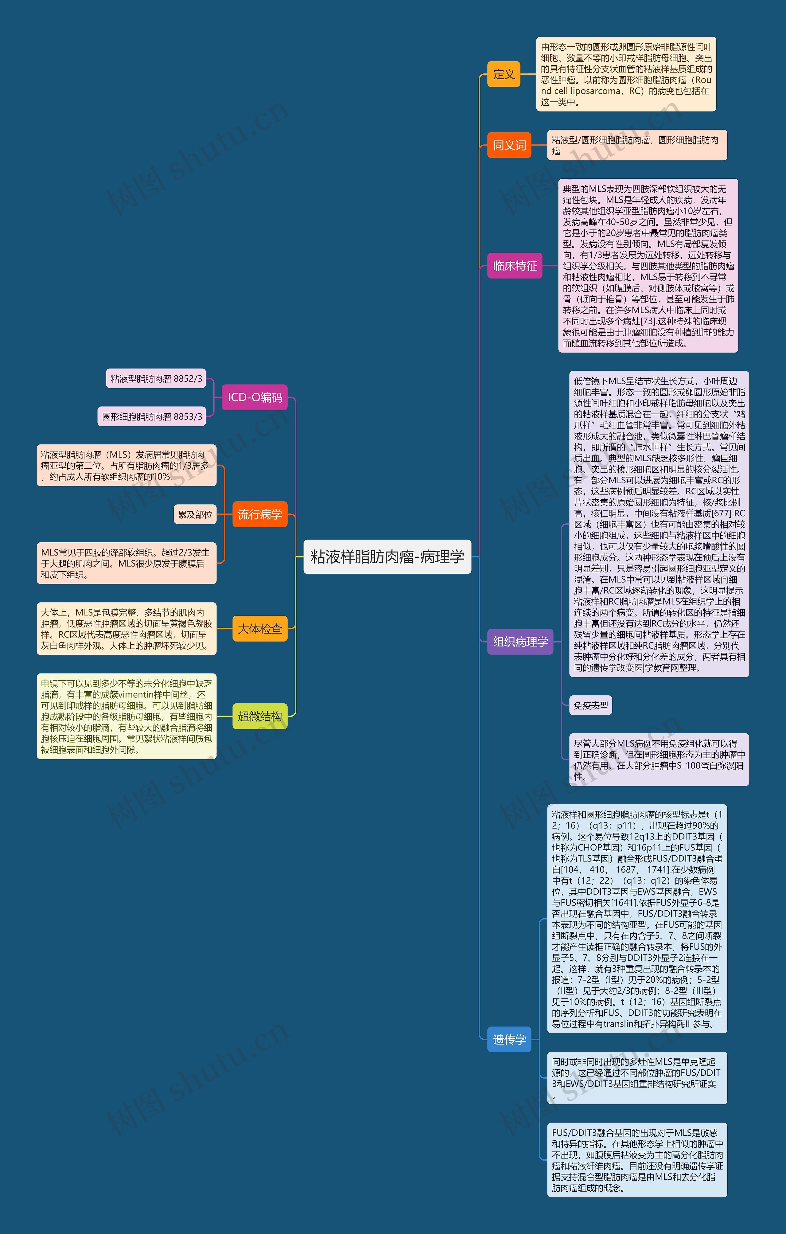 粘液样脂肪肉瘤-病理学思维导图