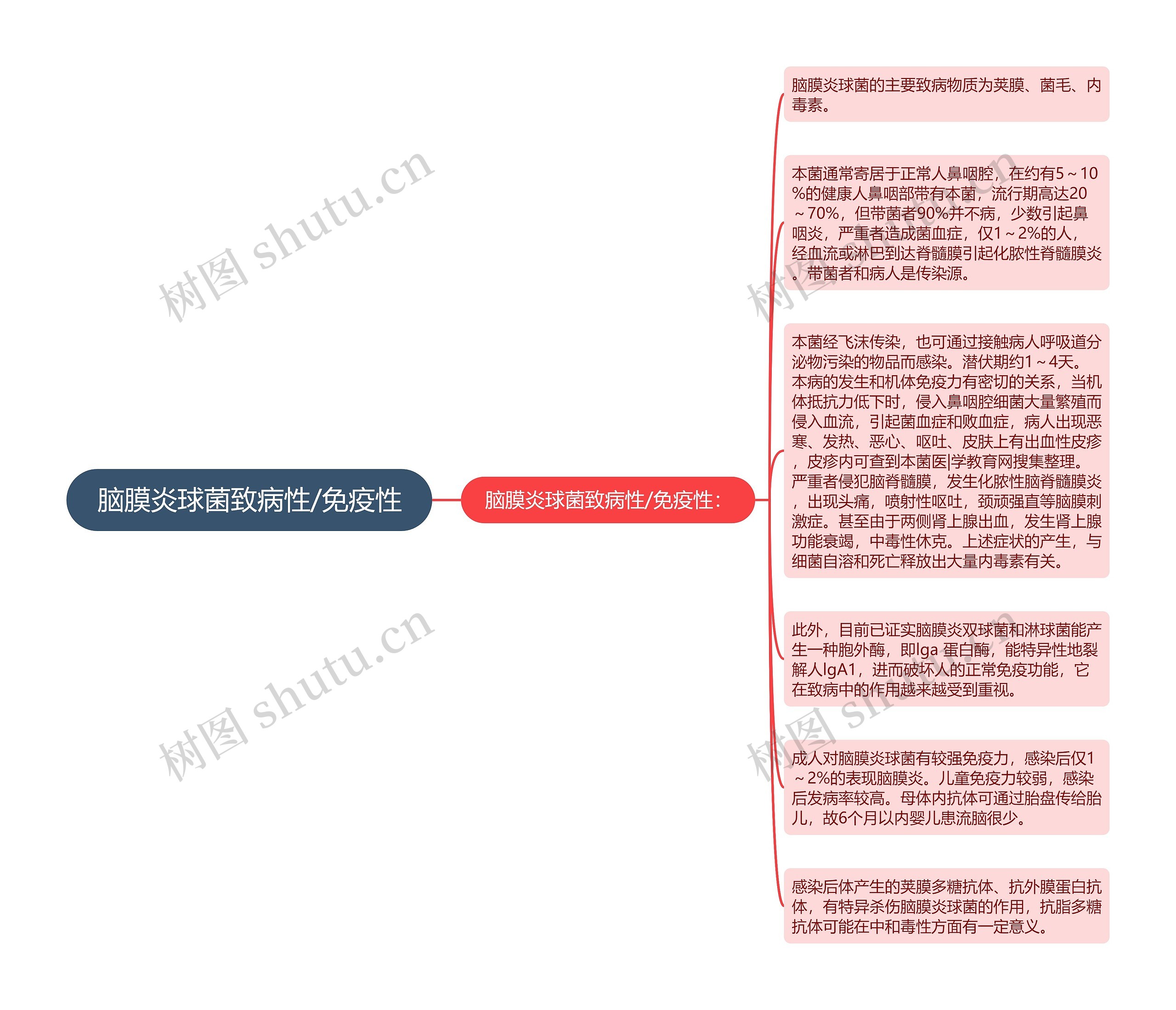 脑膜炎球菌致病性/免疫性