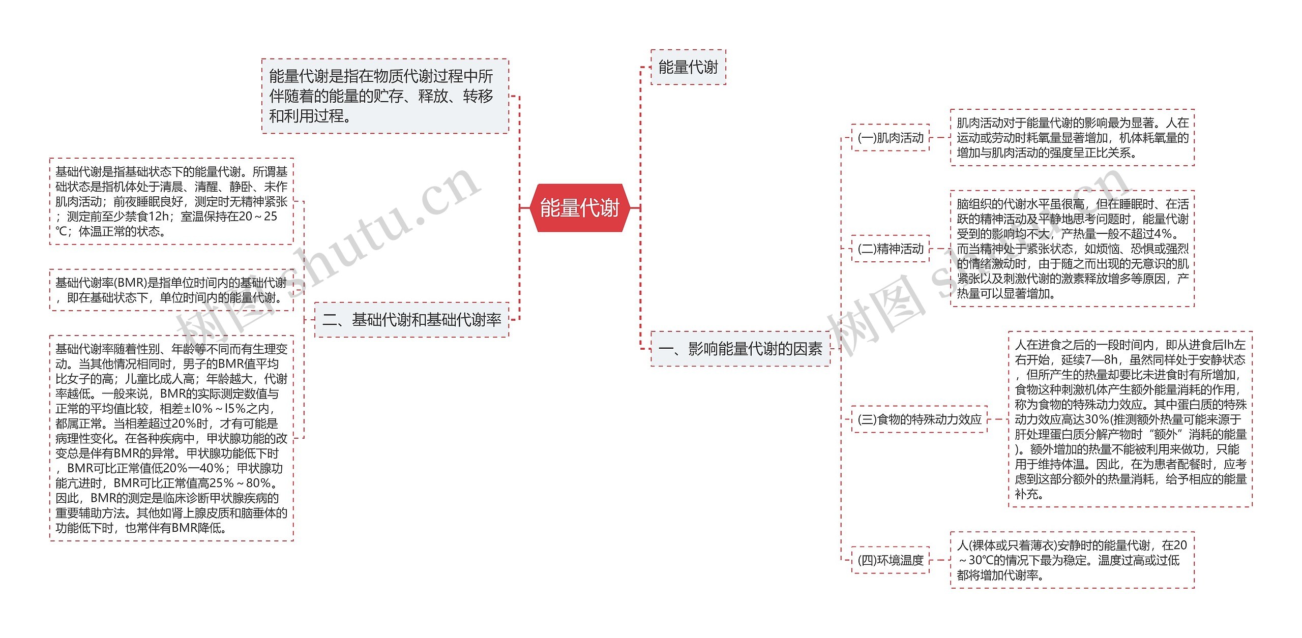 能量代谢思维导图