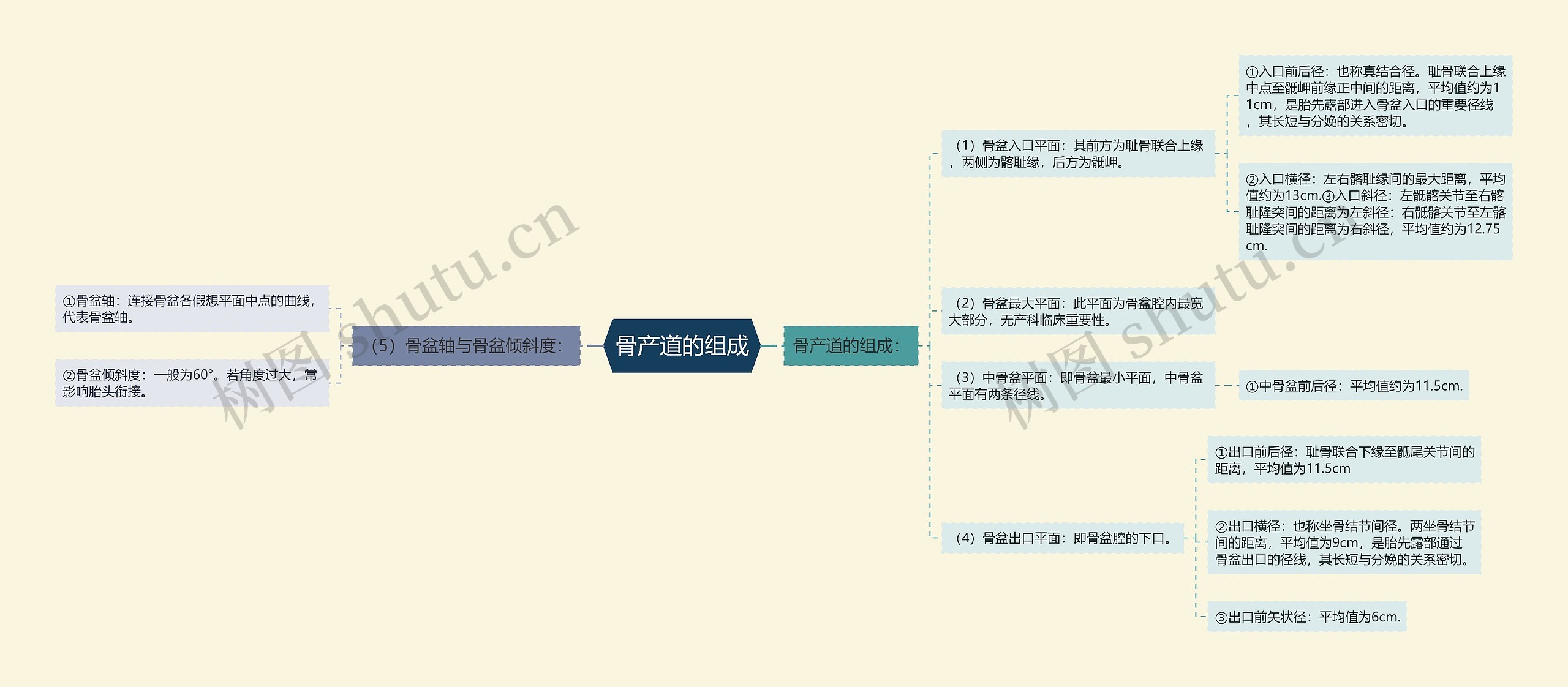 骨产道的组成思维导图