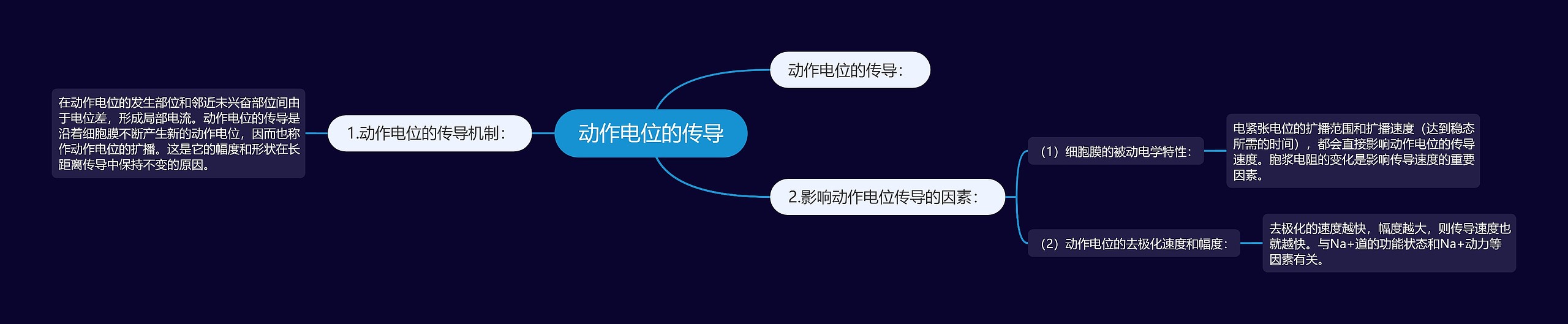 动作电位的传导 动作电位的传导