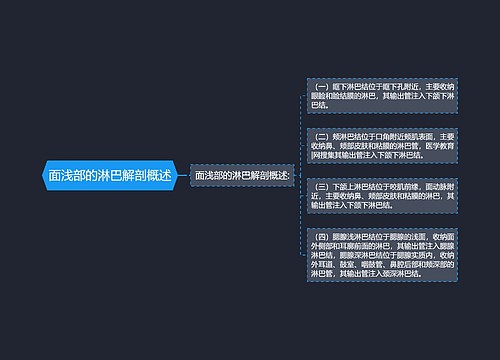 面浅部的淋巴解剖概述