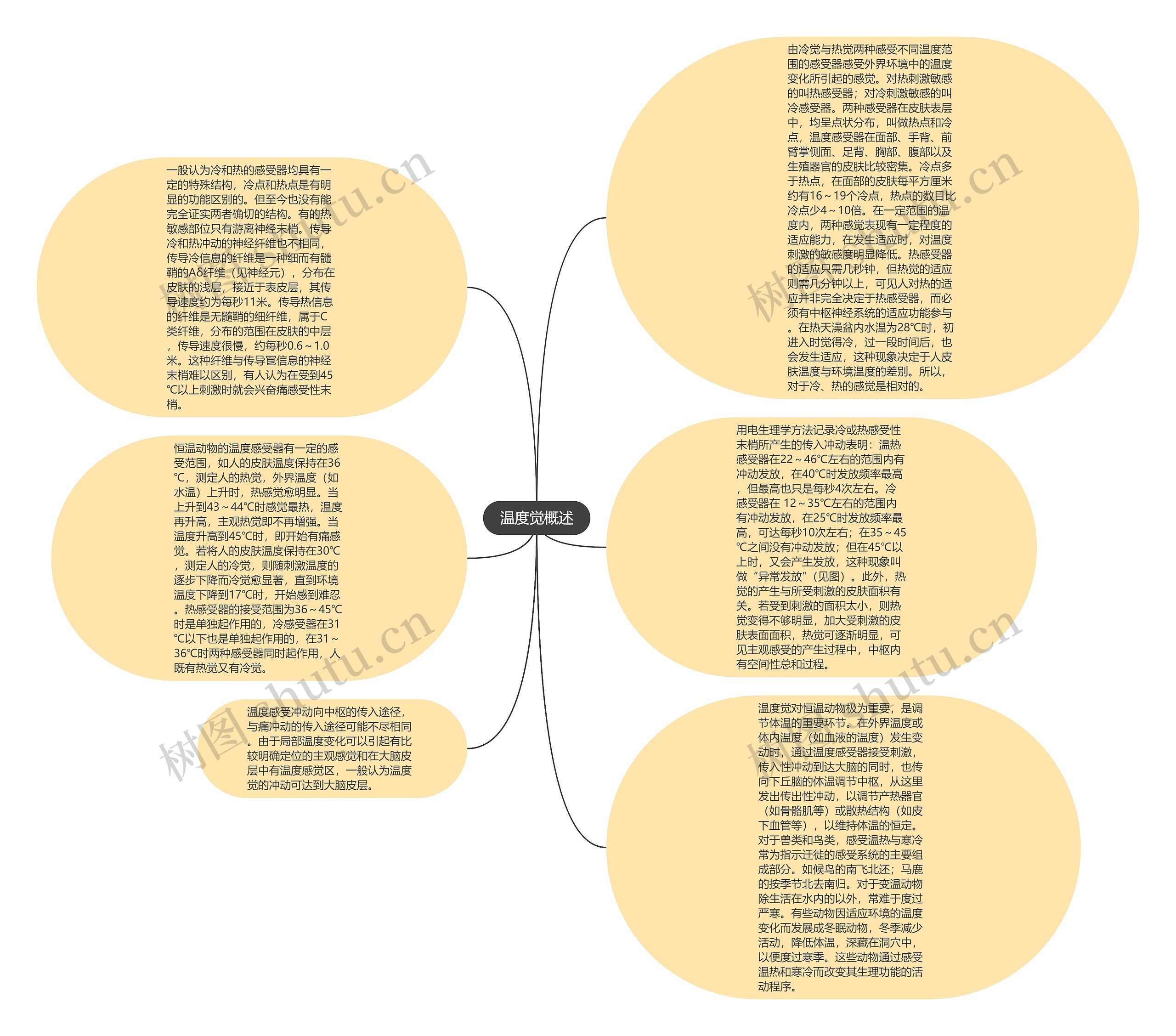 温度觉概述思维导图