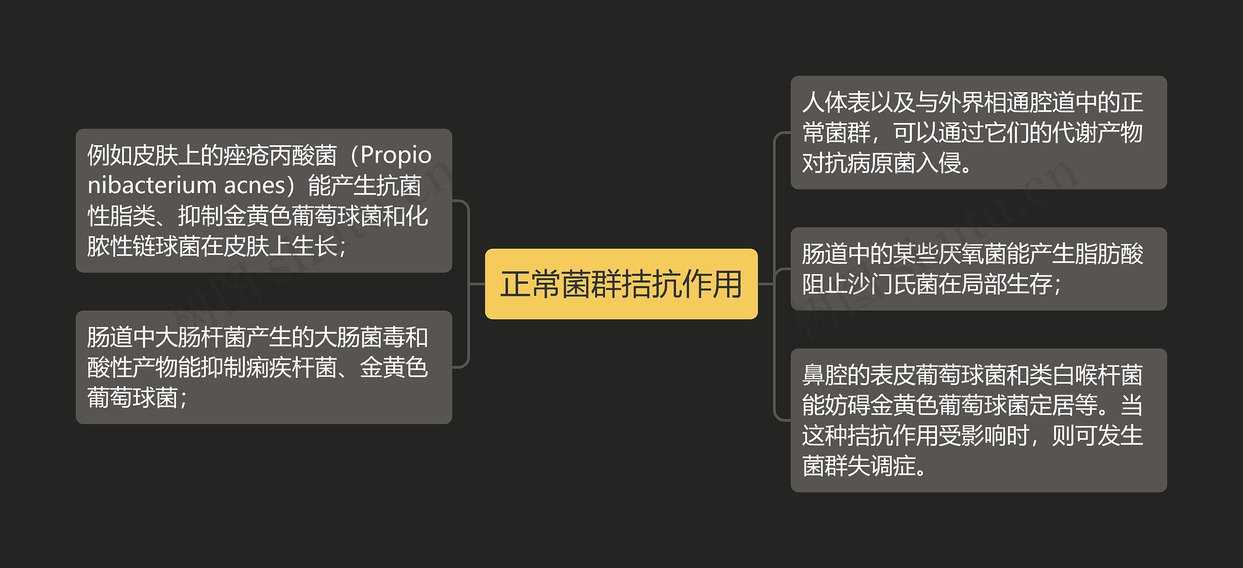 正常菌群拮抗作用思维导图