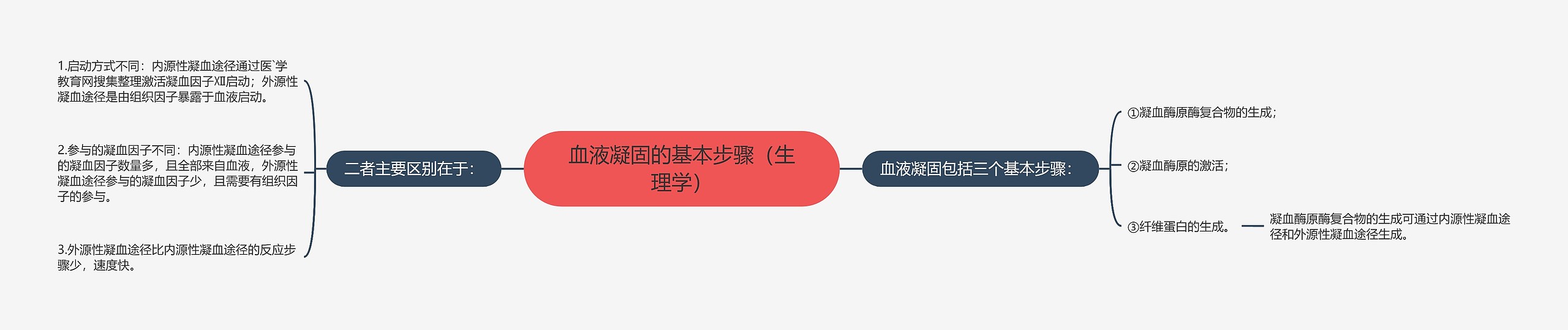 血液凝固的基本步骤（生理学）思维导图