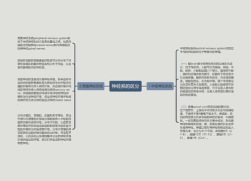 神经系的区分