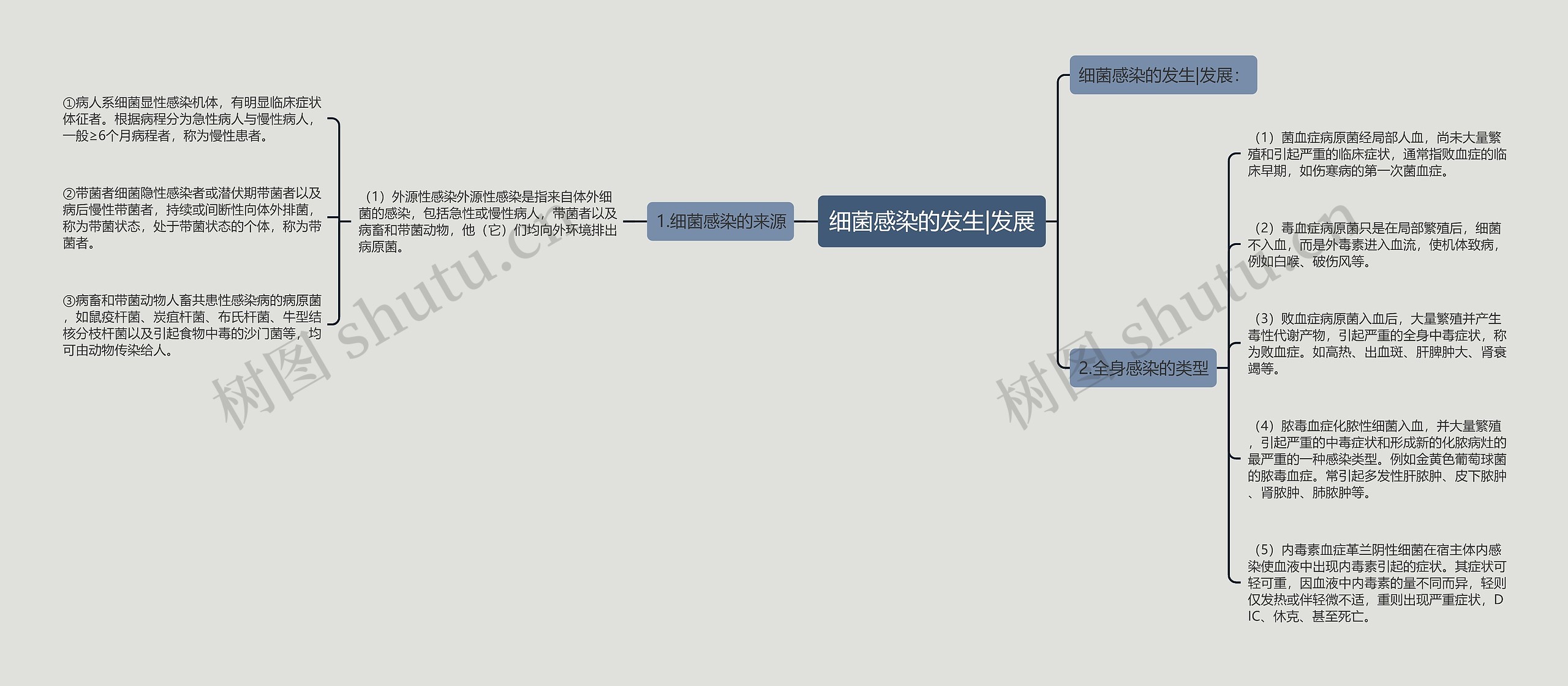 细菌感染的发生|发展