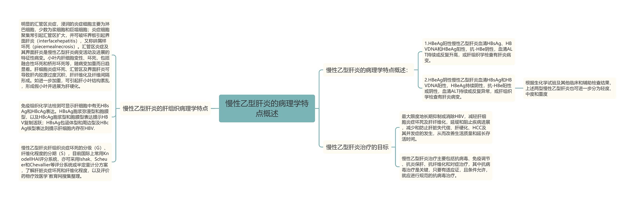 慢性乙型肝炎的病理学特点概述