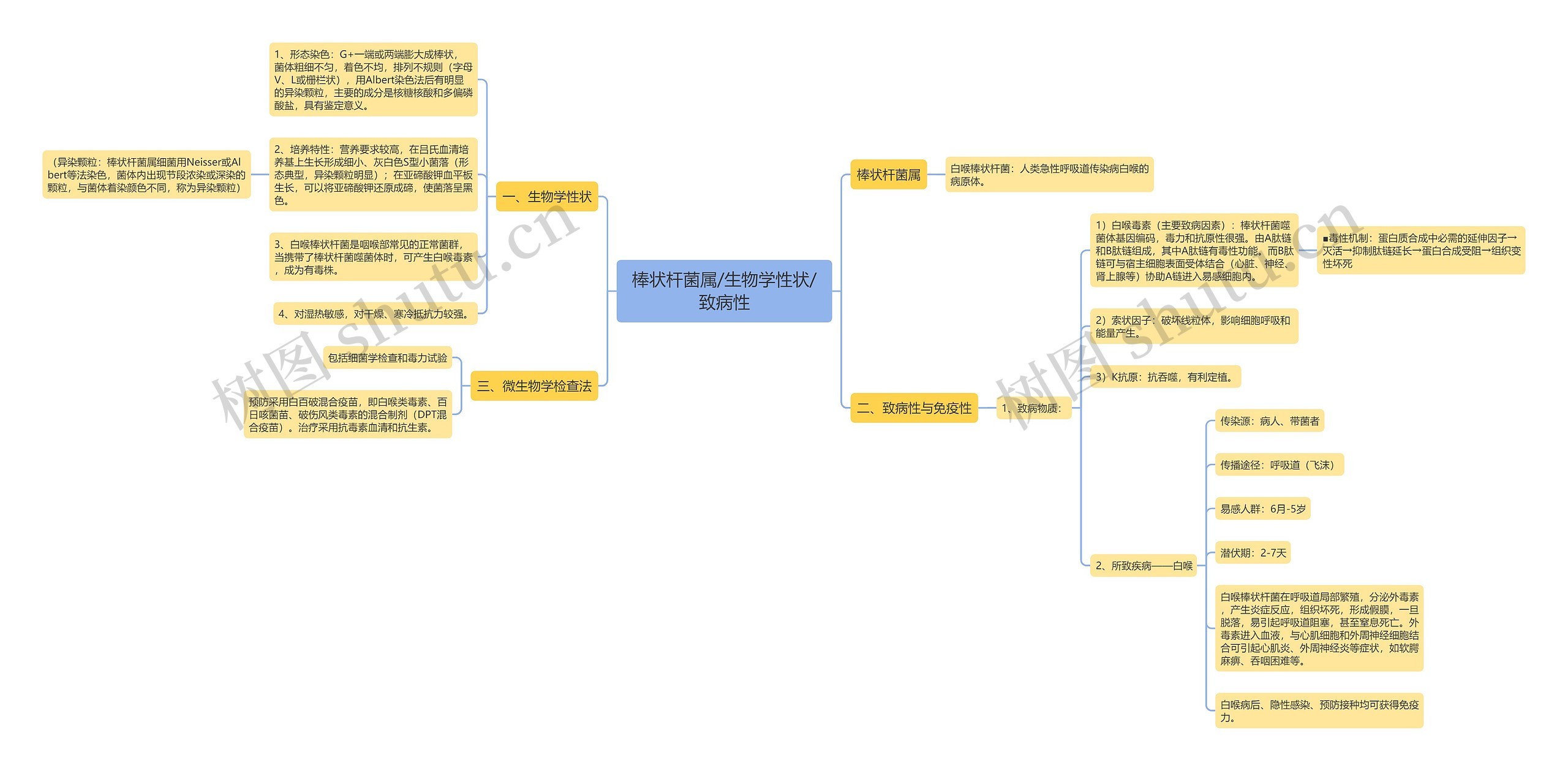 棒状杆菌属/生物学性状/致病性思维导图