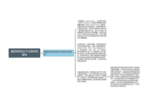 基因突变的分子生物学的基础