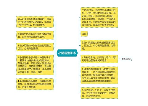 小阴唇整形术