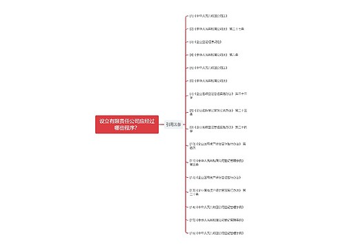 设立有限责任公司应经过哪些程序？