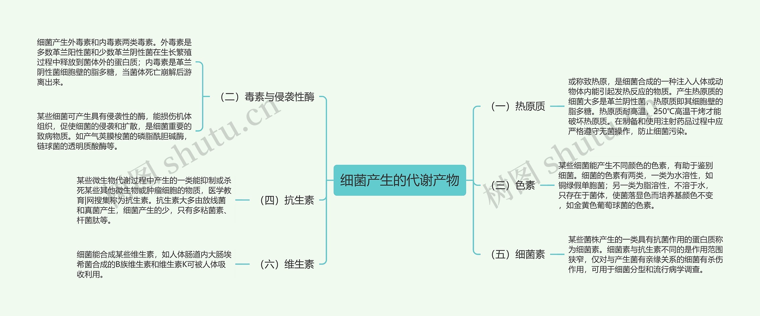 细菌产生的代谢产物思维导图