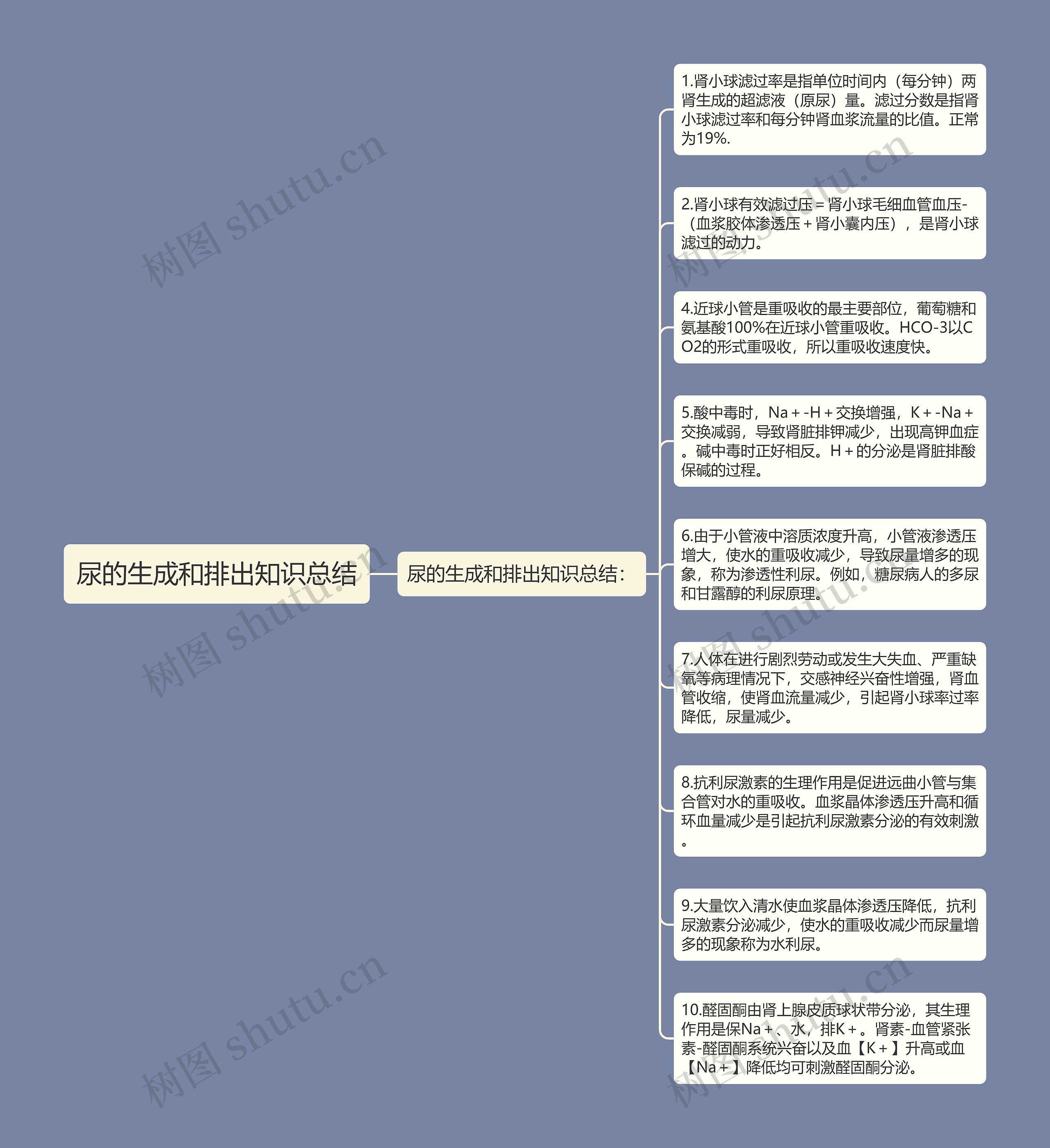 尿的生成和排出知识总结