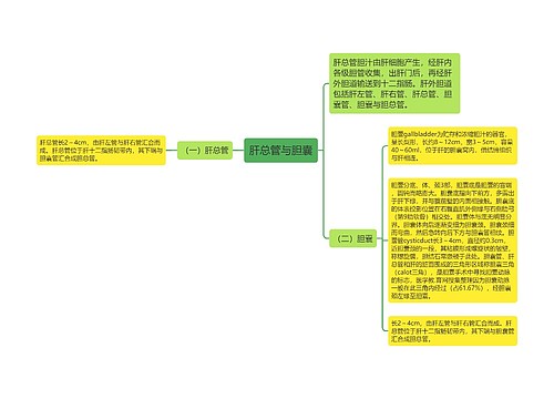 肝总管与胆囊