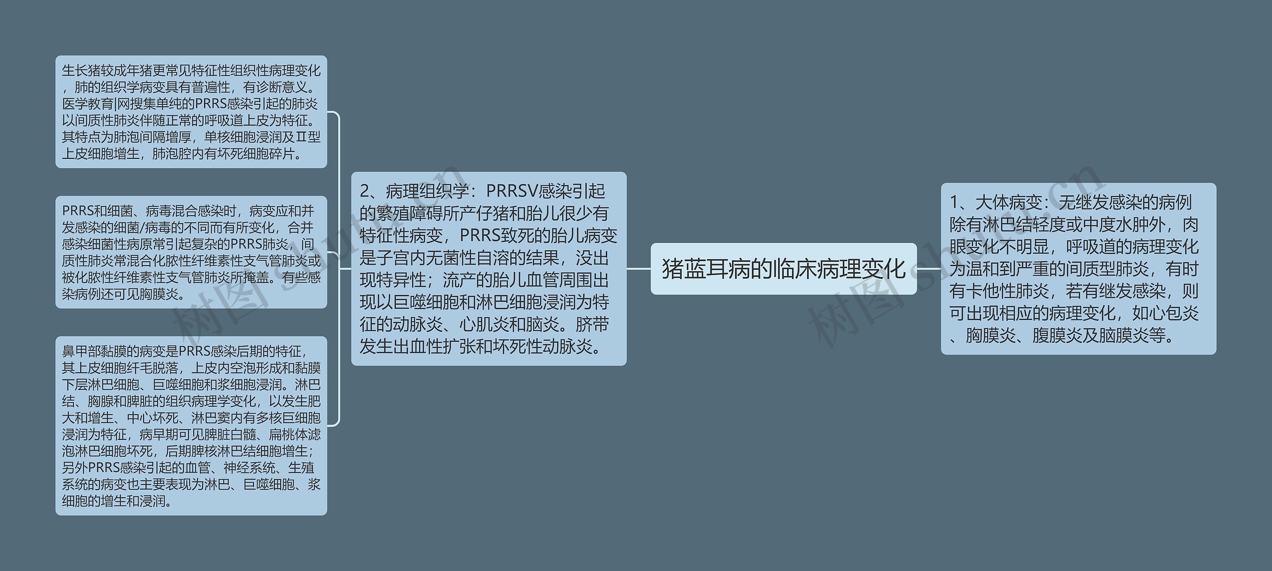 猪蓝耳病的临床病理变化