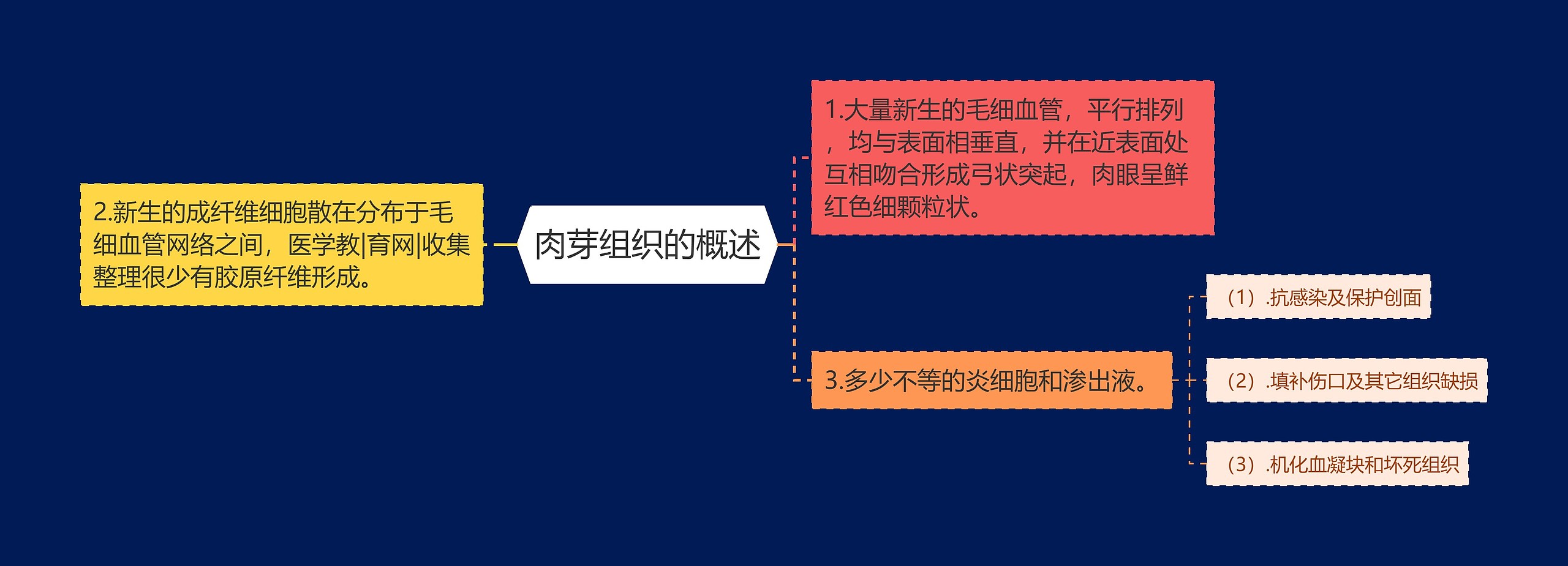 肉芽组织的概述 肉芽组织的概述