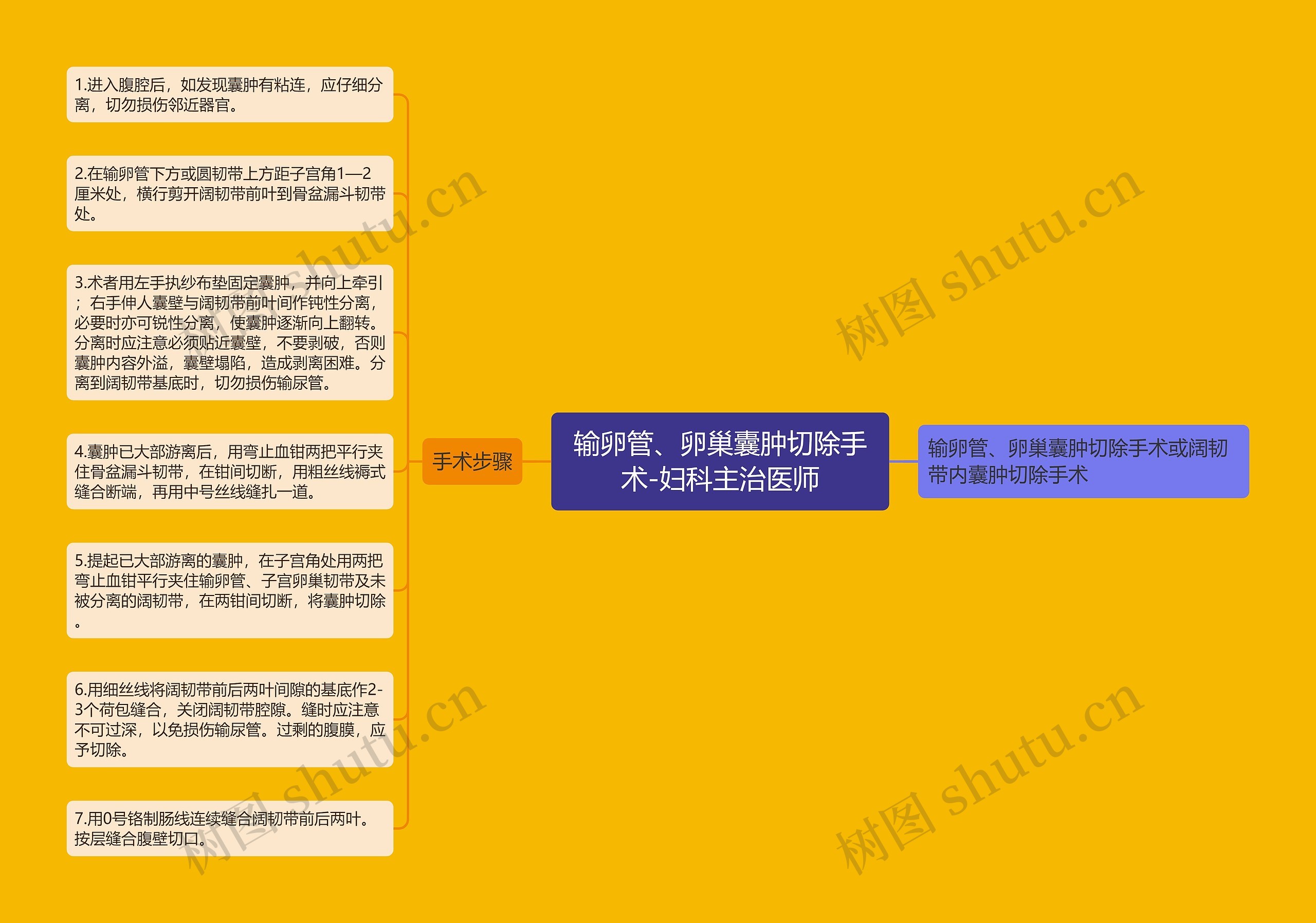 输卵管、卵巢囊肿切除手术-妇科主治医师