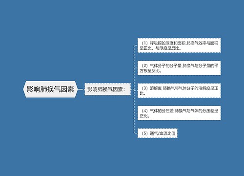 影响肺换气因素