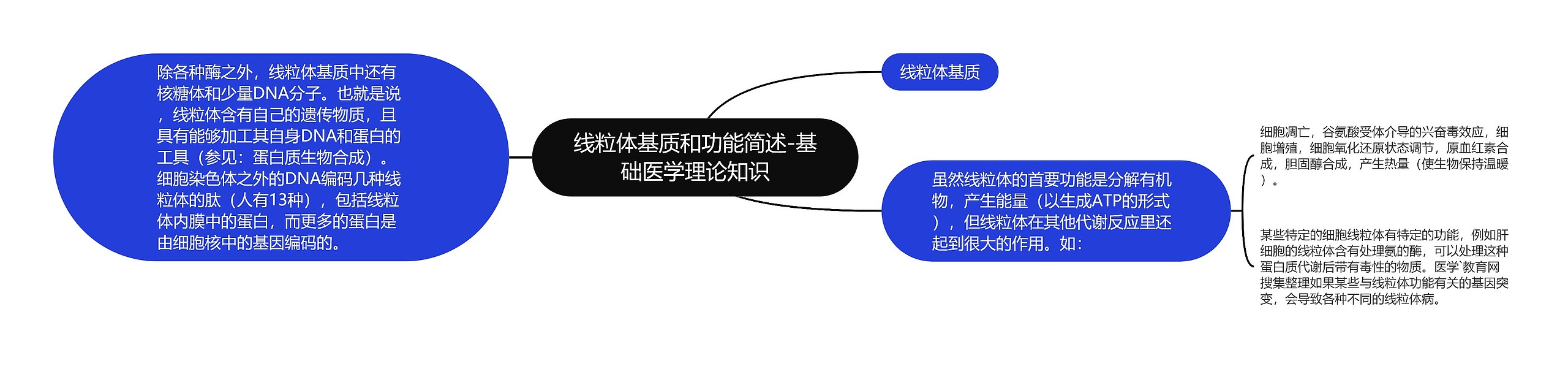 线粒体基质和功能简述-基础医学理论知识 线粒体基质和功能简述-基础医学理论知识