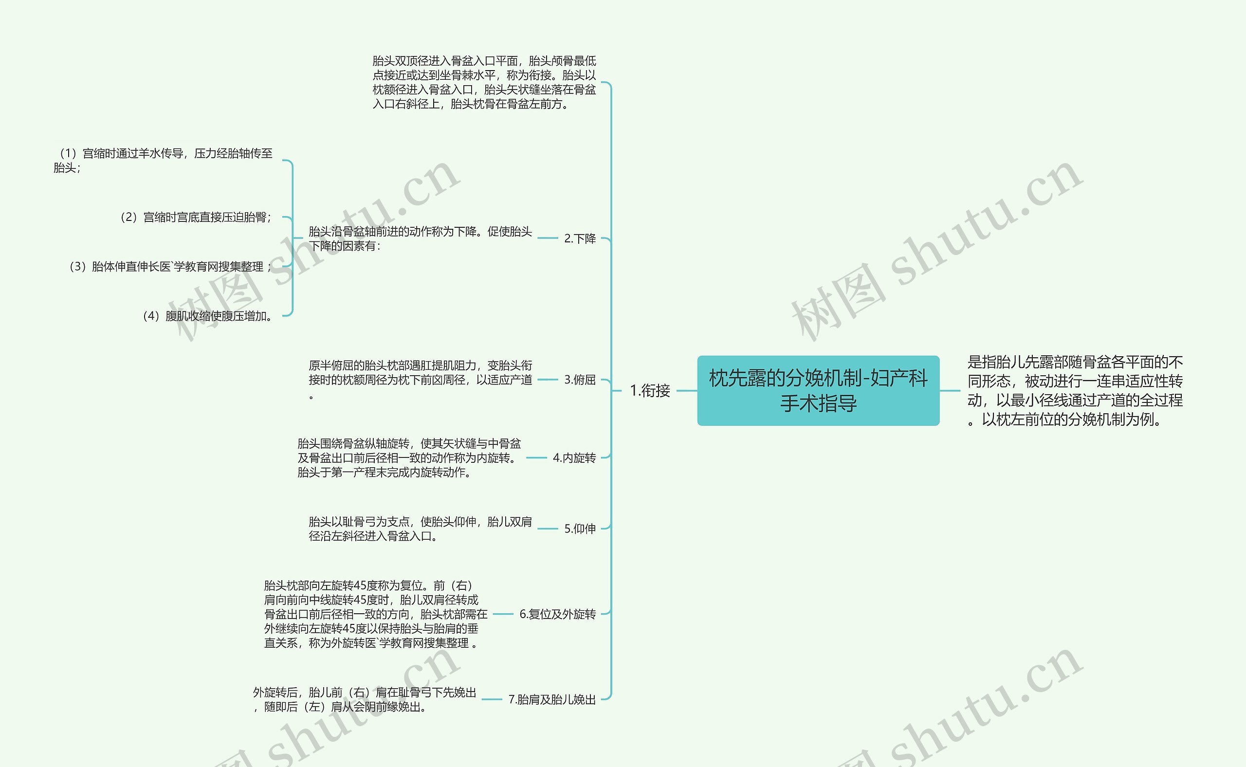 枕先露的分娩机制-妇产科手术指导