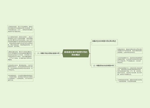 病毒微生物学病理作用的具体概述