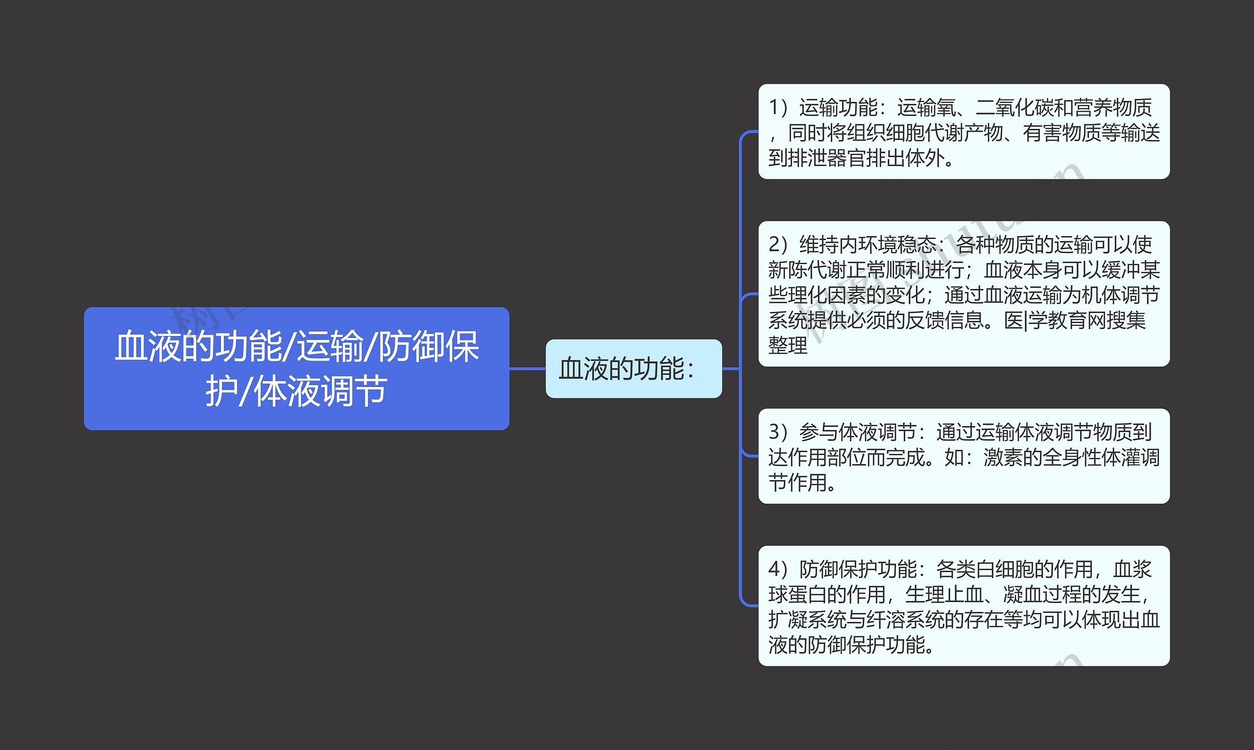 血液的功能/运输/防御保护/体液调节思维导图