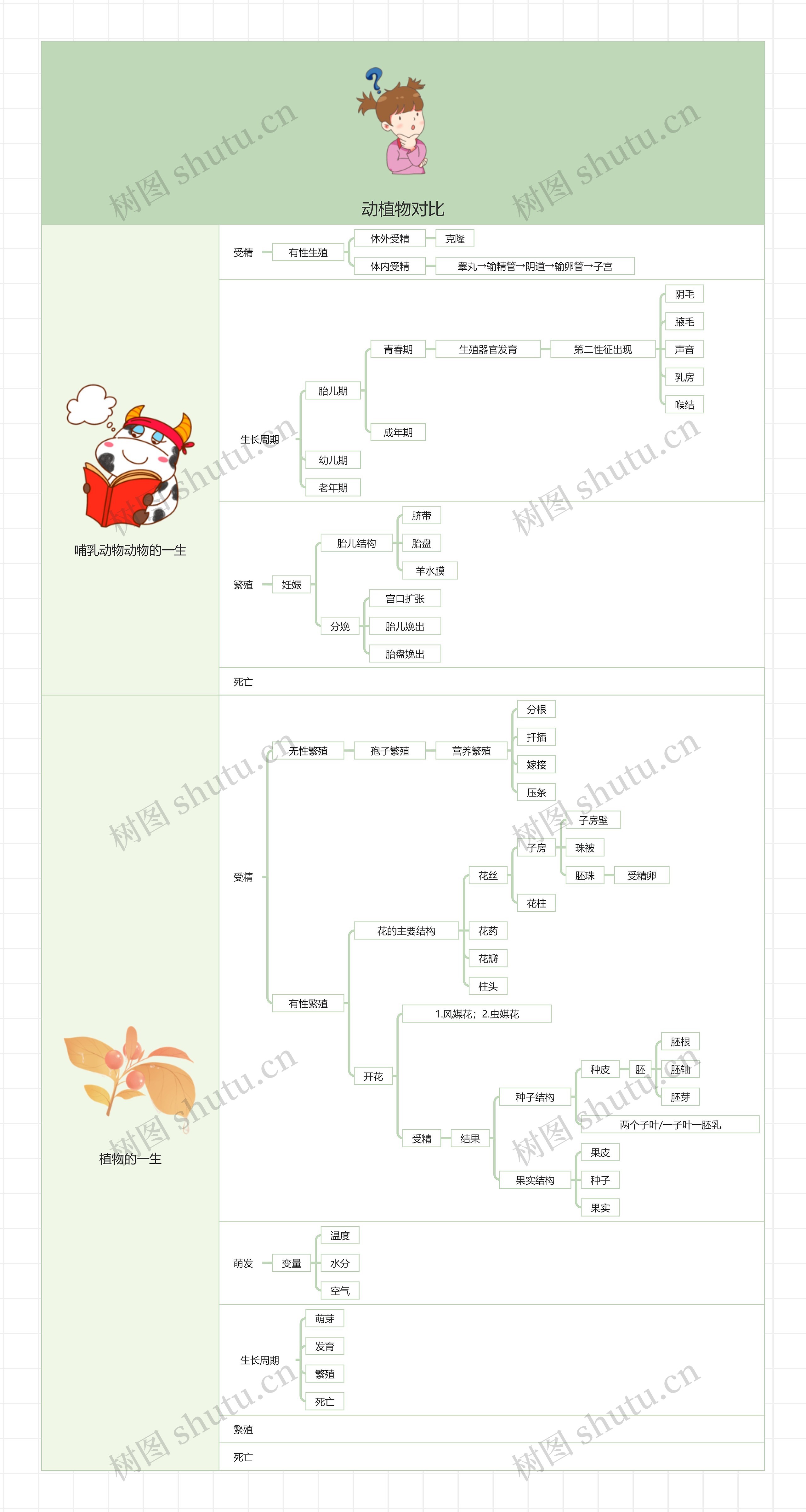 动植物对比思维导图
