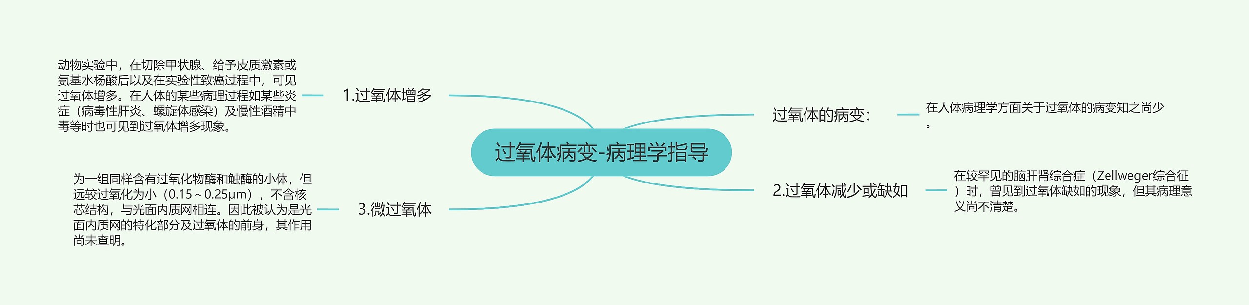 过氧体病变-病理学指导 过氧体病变-病理学指导