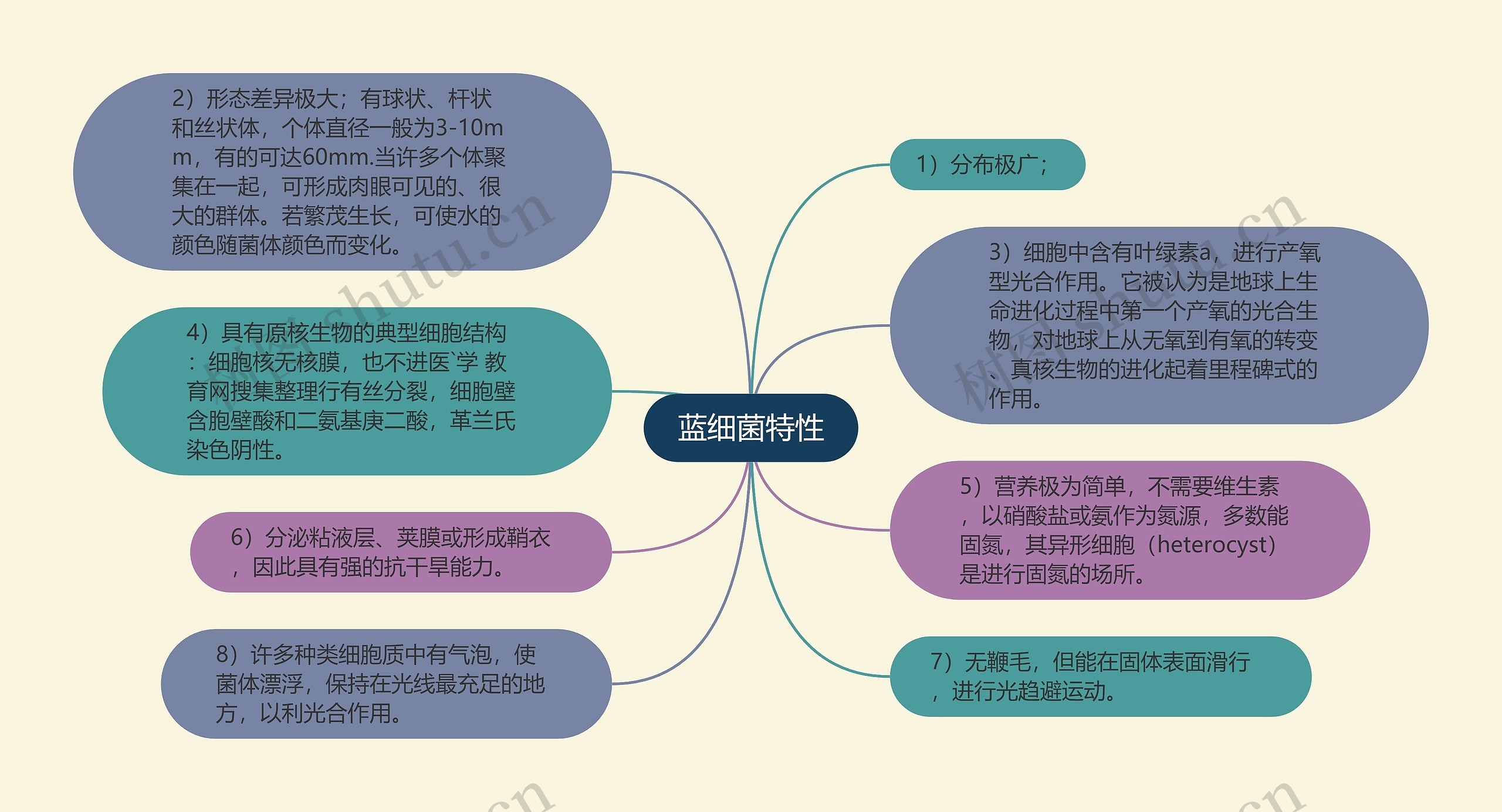 蓝细菌特性 蓝细菌特性