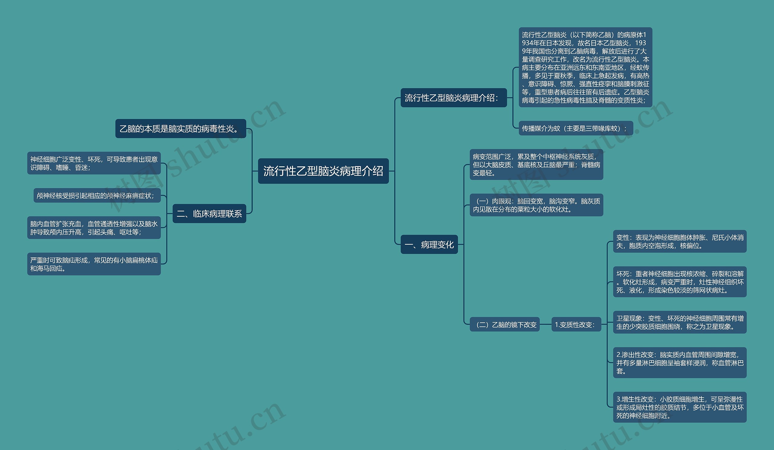 流行性乙型脑炎病理介绍思维导图