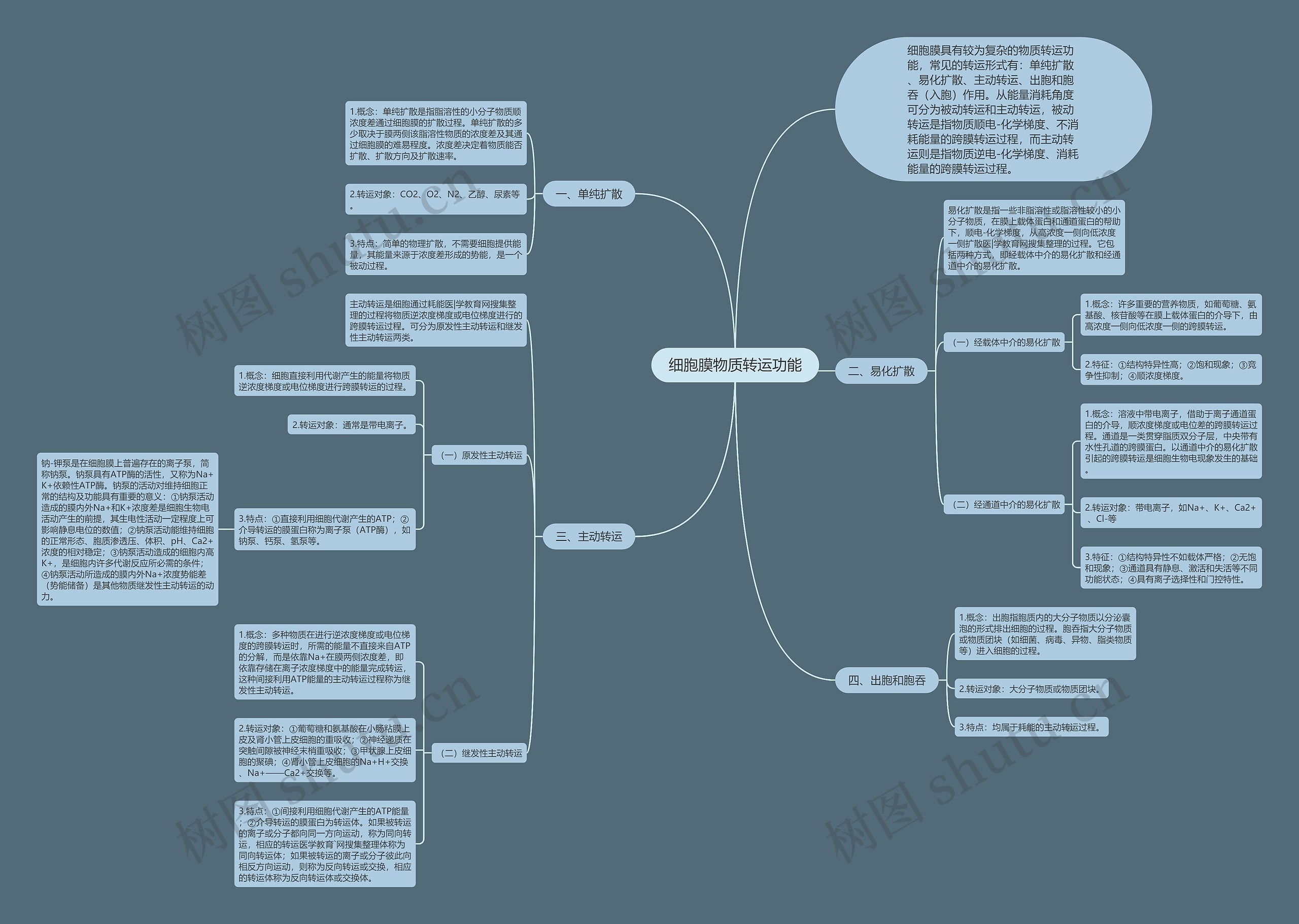 细胞膜物质转运功能思维导图