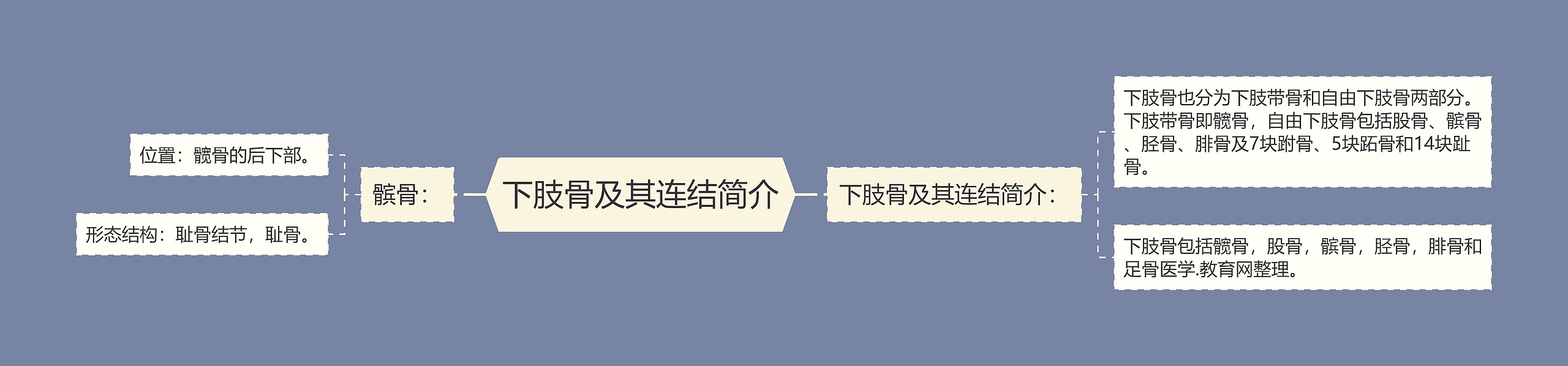 下肢骨及其连结简介 下肢骨及其连结简介