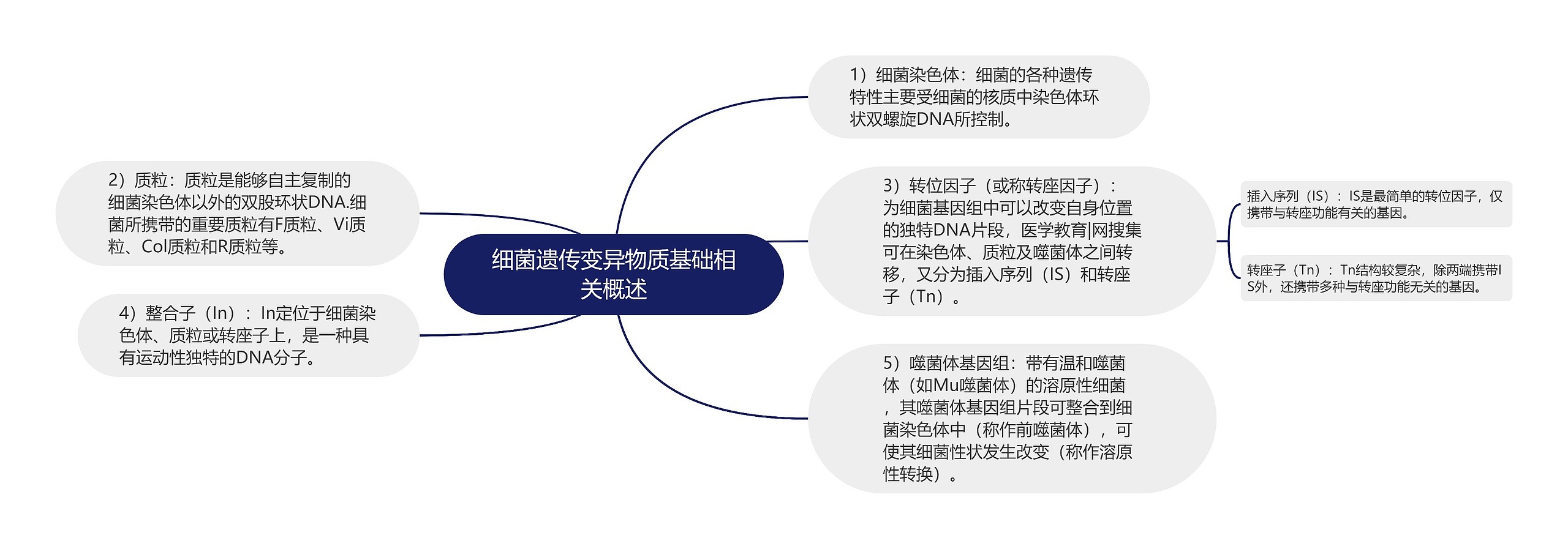 细菌遗传变异物质基础相关概述思维导图