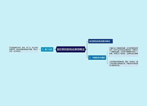 股后群肌的组成|解剖概述