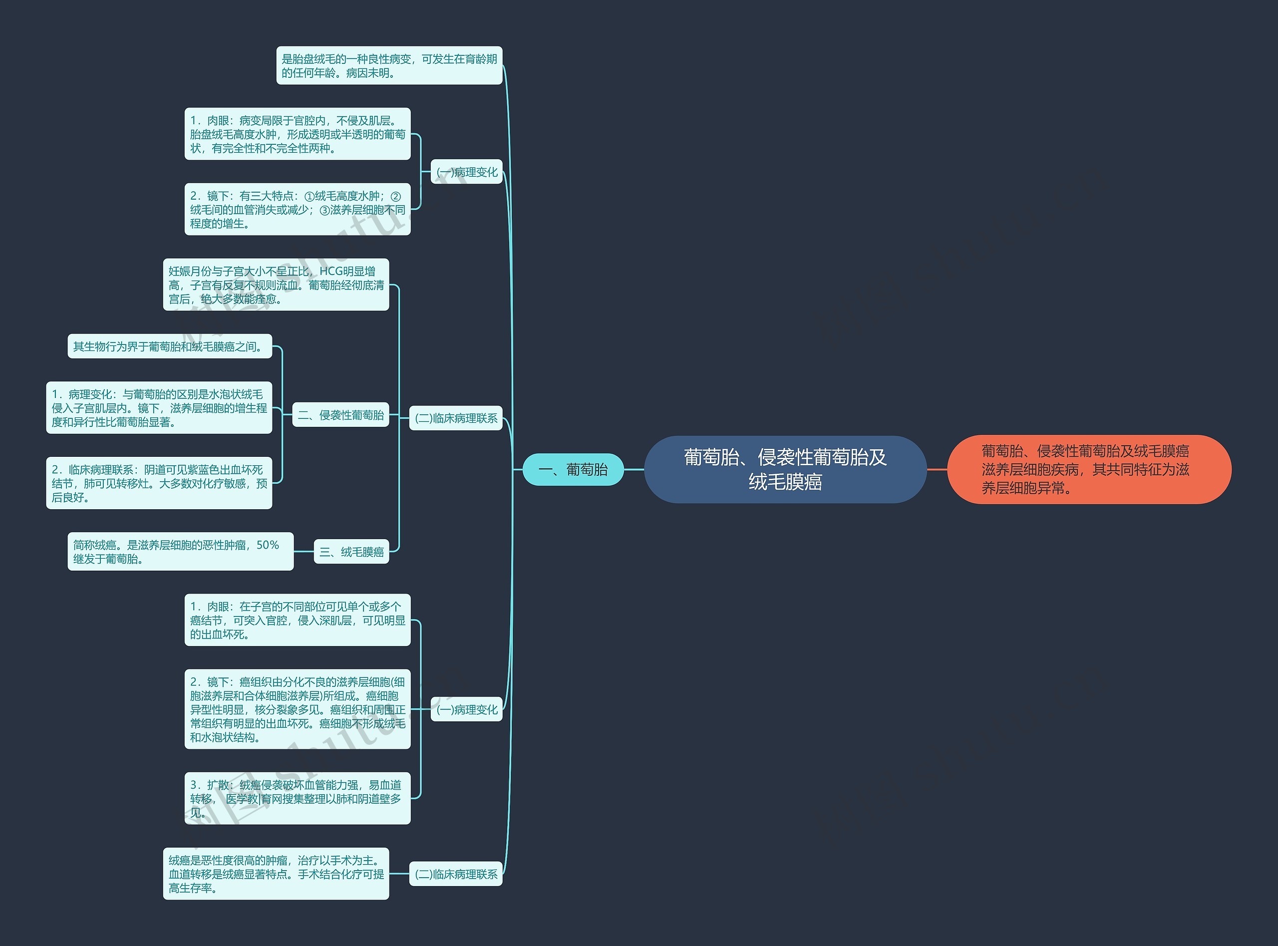 葡萄胎、侵袭性葡萄胎及绒毛膜癌 葡萄胎、侵袭性葡萄胎及绒毛膜癌