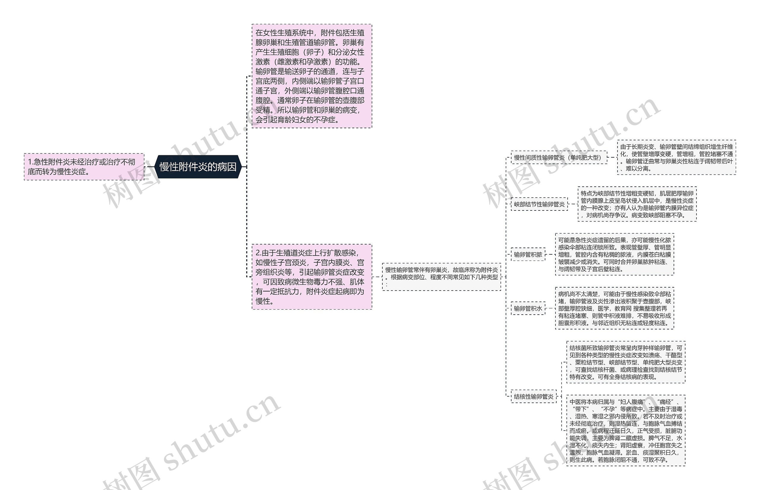 慢性附件炎的病因