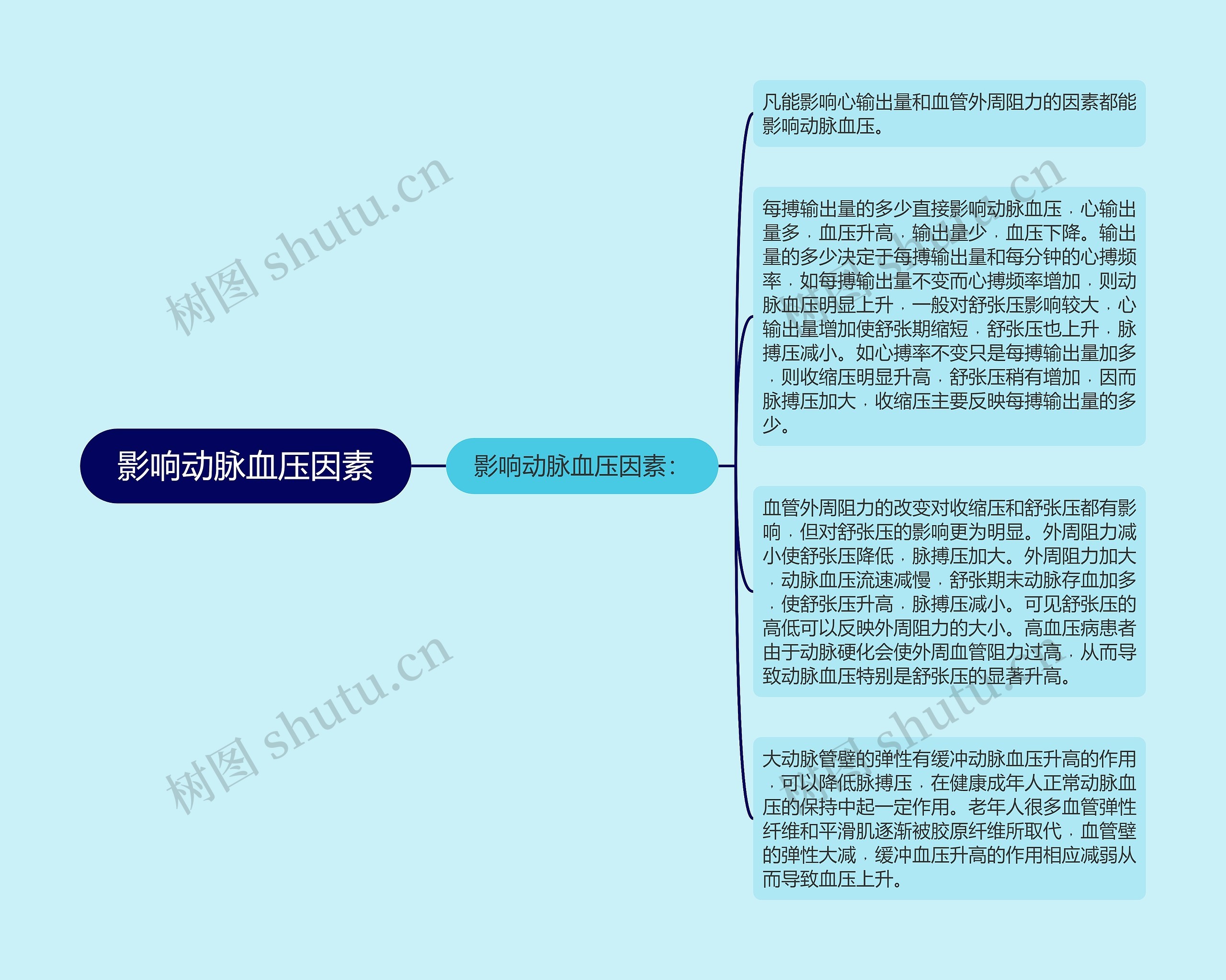 影响动脉血压因素思维导图