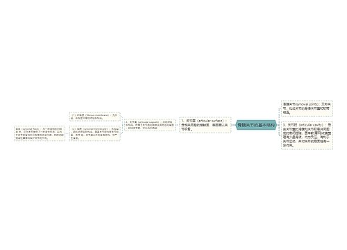 骨膜关节的基本结构